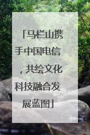 马栏山携手中国电信，共绘文化科技融合发展蓝图