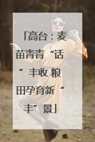 高台：麦苗青青“话”丰收 粮田孕育新“丰”景