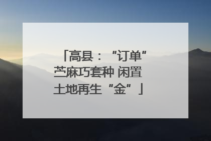 高县：“订单”苎麻巧套种 闲置土地再生“金”