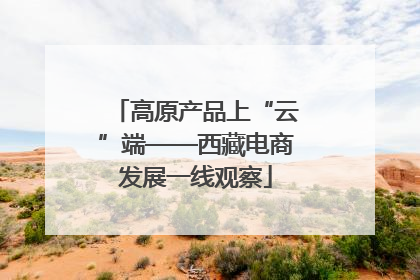 高原产品上“云”端——西藏电商发展一线观察