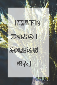 高温下的劳动者④丨凉风甜汤慰橙衣