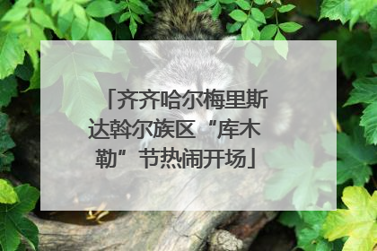齐齐哈尔梅里斯达斡尔族区“库木勒”节热闹开场