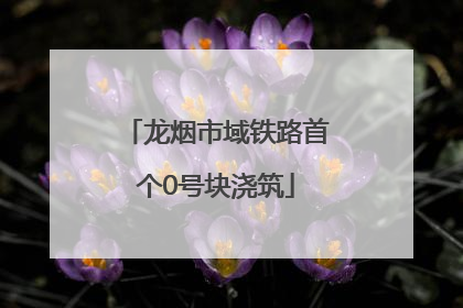龙烟市域铁路首个0号块浇筑