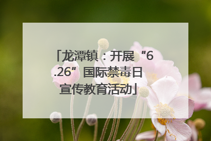 龙潭镇：开展“6.26”国际禁毒日宣传教育活动