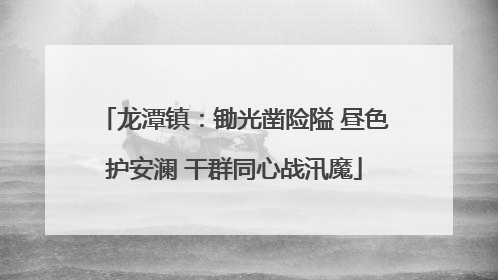 龙潭镇：锄光凿险隘 昼色护安澜 干群同心战汛魔