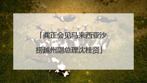 龚正会见马来西亚沙捞越州副总理沈桂贤