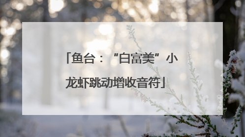 鱼台：“白富美”小龙虾跳动增收音符