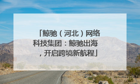 鲸驰（河北）网络科技集团：鲸驰出海，开启跨境新航程