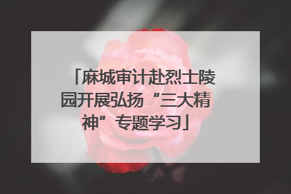 麻城审计赴烈士陵园开展弘扬“三大精神”专题学习