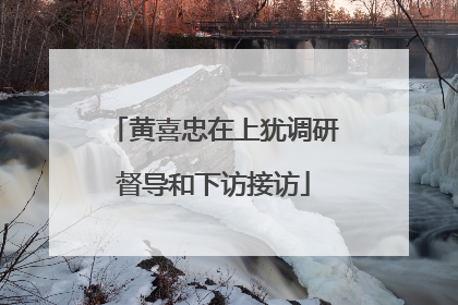 黄喜忠在上犹调研督导和下访接访