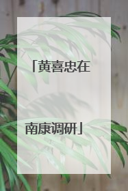 黄喜忠在南康调研