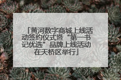 黄河数字商城上线活动签约仪式暨“第一书记优选”品牌上线活动在天桥区举行
