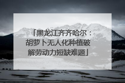 黑龙江齐齐哈尔：胡萝卜无人化种植破解劳动力短缺难题
