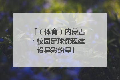 （体育）内蒙古：校园足球课程建设异彩纷呈