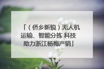 （侨乡新貌）无人机运输、智能分拣 科技助力浙江杨梅产销