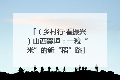 （乡村行·看振兴）山西襄垣：一粒“米”的新“稻”路