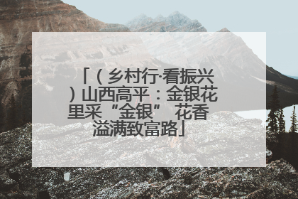 （乡村行·看振兴）山西高平：金银花里采“金银” 花香溢满致富路