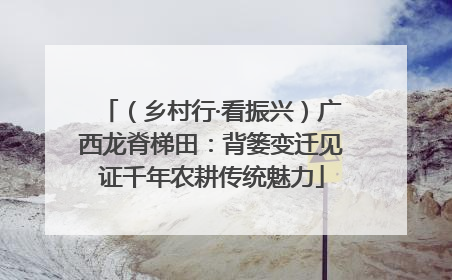 （乡村行·看振兴）广西龙脊梯田：背篓变迁见证千年农耕传统魅力