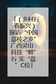 （乡村行·看振兴）探访“中国荔枝之乡”广西灵山：科技“鲜”行 实“荔”C位