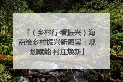 （乡村行·看振兴）海南绘乡村振兴新图景：规划赋能 村庄焕新
