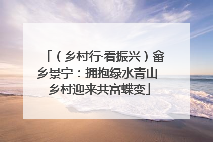 （乡村行·看振兴）畲乡景宁：拥抱绿水青山 乡村迎来共富蝶变