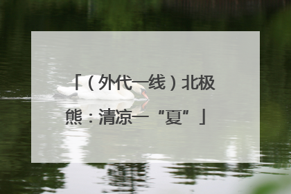 （外代一线）北极熊：清凉一“夏”