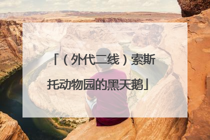 （外代二线）索斯托动物园的黑天鹅