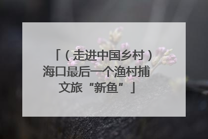 （走进中国乡村）海口最后一个渔村捕文旅“新鱼”