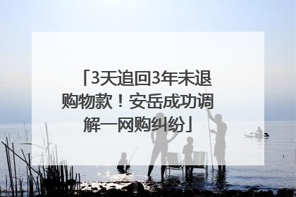 3天追回3年未退购物款！安岳成功调解一网购纠纷
