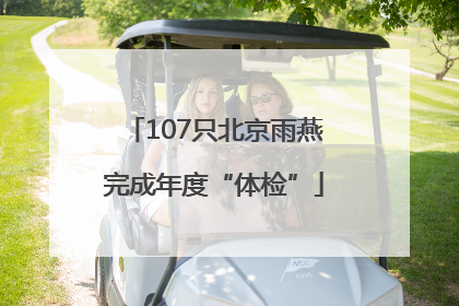 107只北京雨燕完成年度“体检”