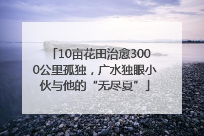 10亩花田治愈3000公里孤独，广水独眼小伙与他的“无尽夏”