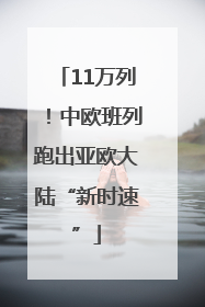 11万列！中欧班列跑出亚欧大陆“新时速”