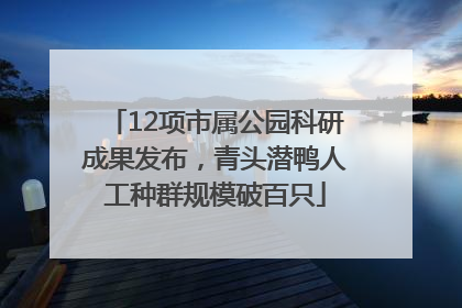 12项市属公园科研成果发布，青头潜鸭人工种群规模破百只