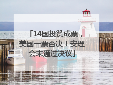 14国投赞成票，美国一票否决！安理会未通过决议