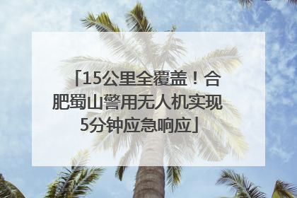 15公里全覆盖！合肥蜀山警用无人机实现5分钟应急响应