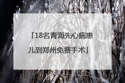 18名青海先心病患儿到郑州免费手术
