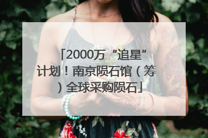 2000万“追星”计划！南京陨石馆（筹）全球采购陨石