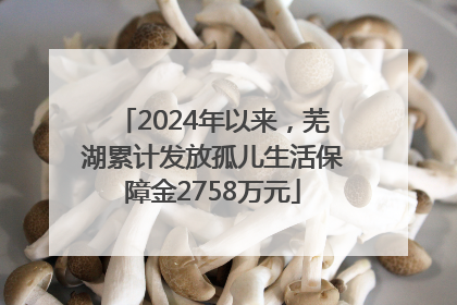 2024年以来，芜湖累计发放孤儿生活保障金2758万元