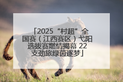 2025“村超”全国赛（江西赛区）弋阳选拔赛燃情揭幕 22支劲旅绿茵逐梦