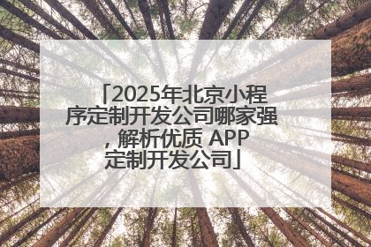 2025年北京小程序定制开发公司哪家强，解析优质 APP 定制开发公司