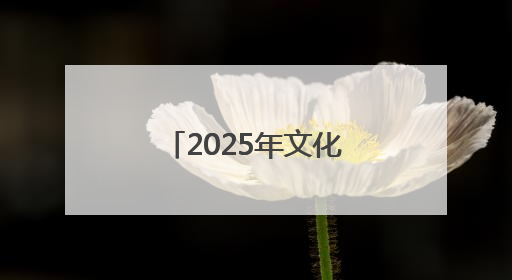 2025年文化和自然遗产日非遗展演展示活动在河北博物院举办