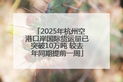 2025年杭州空港口岸国际货运量已突破10万吨 较去年同期提前一周
