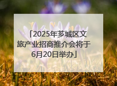 2025年芗城区文旅产业招商推介会将于6月20日举办