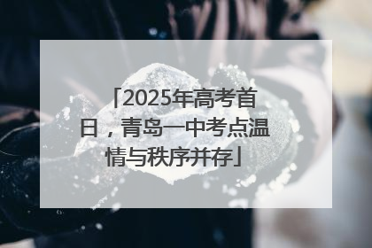 2025年高考首日，青岛一中考点温情与秩序并存