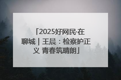 2025好网民·在聊城｜王晨：检察护正义 青春筑晴朗