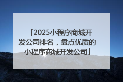 2025小程序商城开发公司排名，盘点优质的小程序商城开发公司