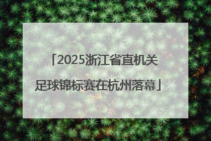 2025浙江省直机关足球锦标赛在杭州落幕