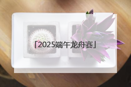 2025端午龙舟赛