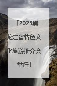 2025黑龙江省特色文化旅游推介会举行