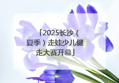 2025长沙（夏季）走娃少儿健走大赛开幕